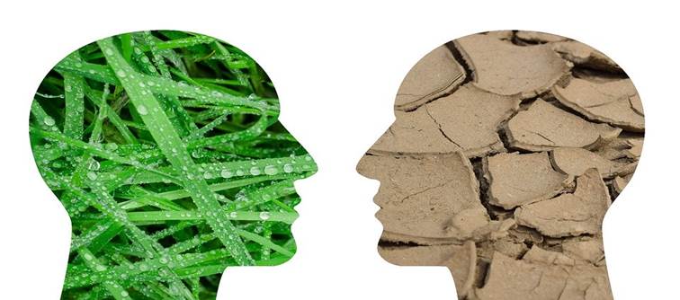 Climate Change, Global Warming, Grass, Drought, Climate